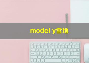 model y雪地